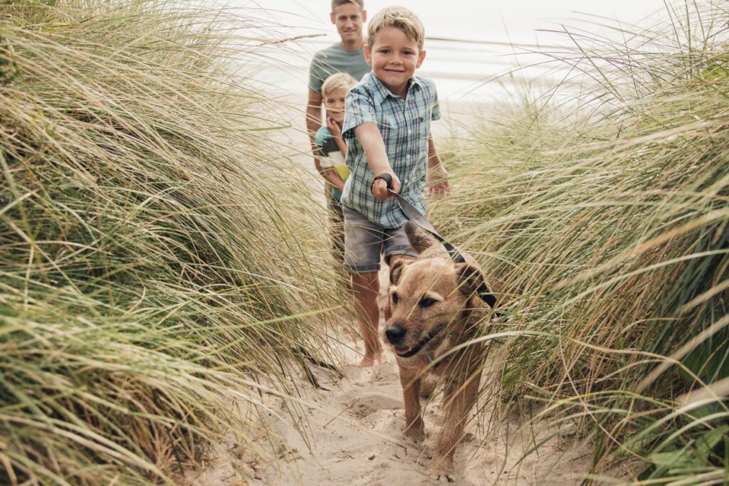 Beach Family Walks